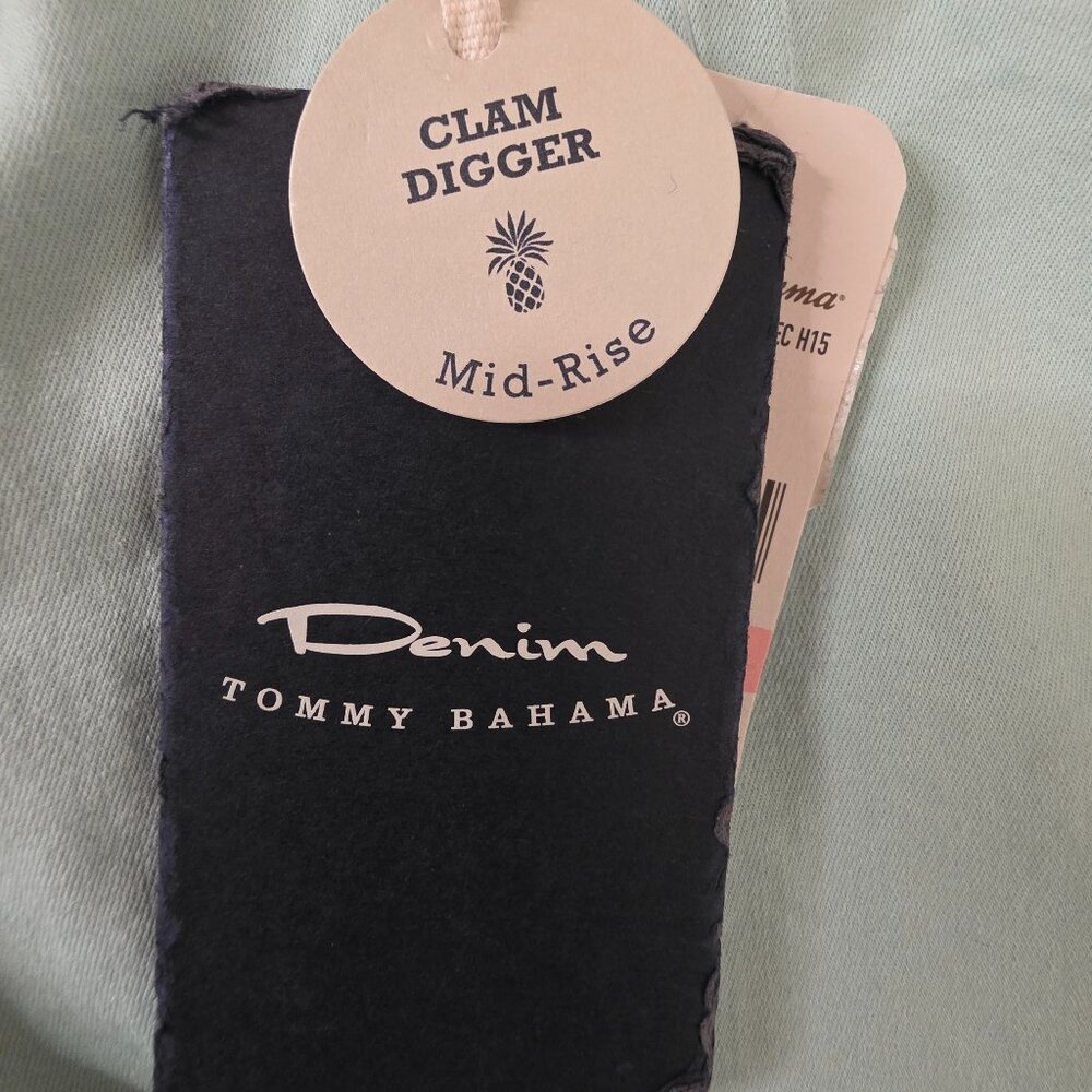 Tommy Bahama Women's Clam Digger Seaform Green Shorts, Size 2 - Picture 5 of 10